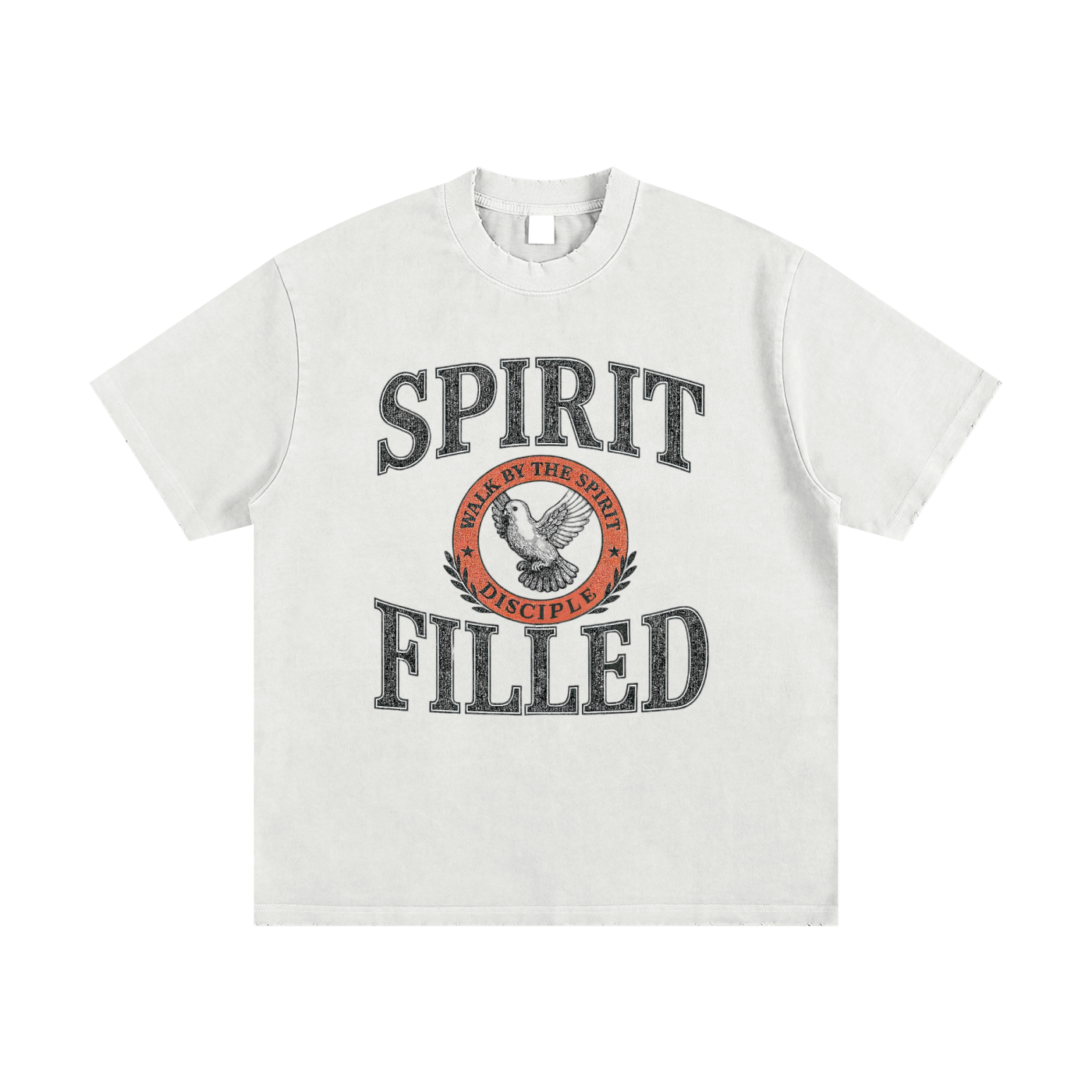"Walk By The Spirit" Over Sized T-Shirt